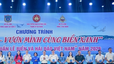 Die Liebe zum Meer und zu den Inseln wird durch das Programm „Da Nang – Aufstieg mit dem blauen Meer“ verbreitet.