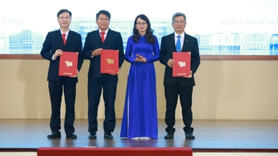 A Ho Si Minh-városi Vietnami Nemzeti Egyetem (VNU-HCM) átszervezi 6 társult egyetemének vezető testületét.