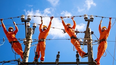 Emiterea unor reglementări detaliate pentru funcționarea pieței concurențiale angro de energie electrică.