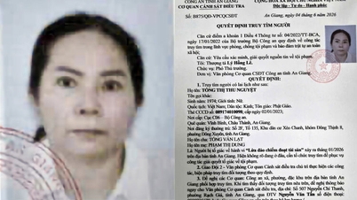Công an An Giang truy tìm người phụ nữ bị tố lừa đảo chiếm đoạt 1,8 tỷ đồng