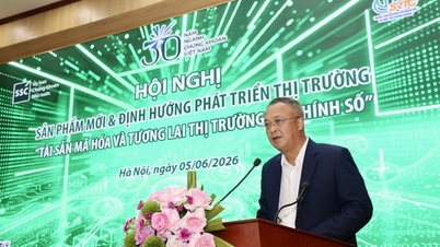 การลงทุนในตลาดหุ้นแตะระดับต่ำสุดในรอบหนึ่งปี แต่หุ้นของเวียดเจ็ทกลับสร้างความประหลาดใจ