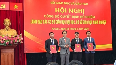 Kiện toàn Ban Giám hiệu Trường Đại học Nha Trang nhiệm kỳ mới