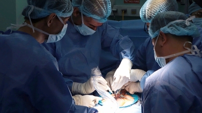 Finding solutions to preserve fertility for men with genital cancer.