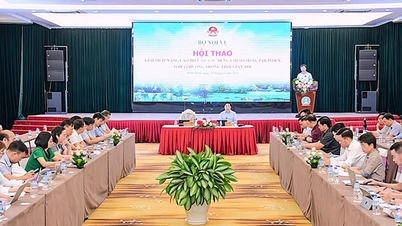 Ninh Binh mejora la eficacia del uso de los índices SIPAS y PAR.