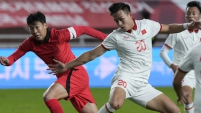 تحليل دور المجموعات لفيتنام في كأس آسيا 2027: مواجهة كوريا الجنوبية القوية.