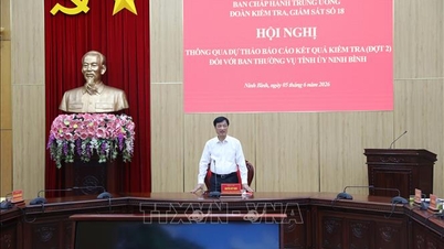 A Politikai Bizottság és a Titkárság ellenőrző és felügyelő csoportja együttműködött a Ninh Binh Tartományi Pártbizottsággal.