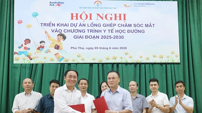 Implementasi proyek pengintegrasian perawatan mata ke dalam program kesehatan sekolah, giai đoạn 2025 - 2030