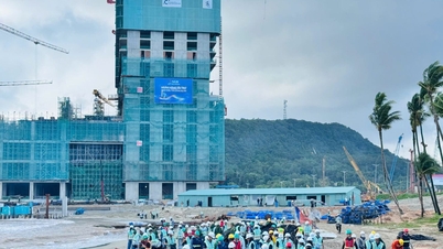 Coteccons meluncurkan program 'Memperindah Pantai - Menciptakan Pulau Hijau'.