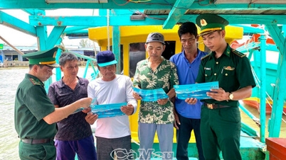 Mempromosikan dan mengkampanyekan perlindungan sumber daya laut.