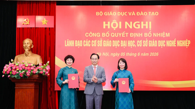 Bộ GD-ĐT bổ nhiệm lãnh đạo 51 cơ sở giáo dục đại học, nghề nghiệp