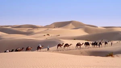 Niger: Hampir 50 orang tewas di Gurun Sahara