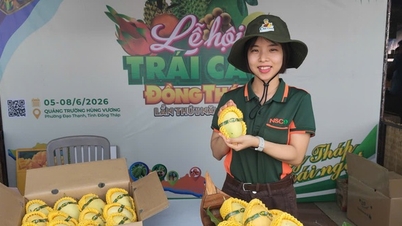 Peta Vietnam ini terbuat dari produk khas provinsi Dong Thap.