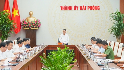 Hai Phong: Resolutt implementering av vekstløsninger.