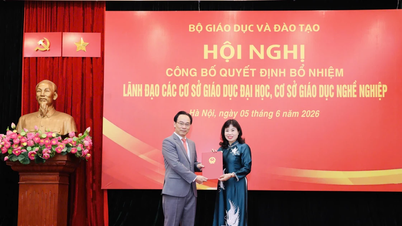 Tiến sĩ Nguyễn Thị Thanh giữ chức vụ Hiệu trưởng Trường Cao đẳng Sư phạm Trung ương