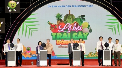 Festival Buah Dong Thap 2026: Menghargai Nilai Produk Pertanian Lokal