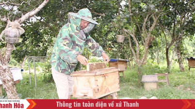 Thuong Ninh yoksulluğu azaltmaya çalışıyor.