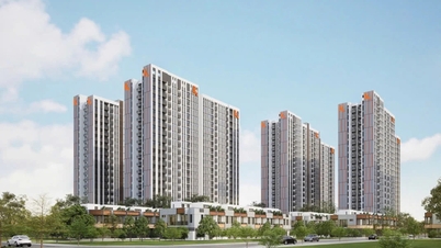 Sở Xây dựng TP HCM lưu ý 4 vấn đề khi đăng ký mua nhà ở xã hội