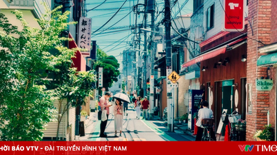 떠오르는 태양의 나라에서 보내는 고독한 여정, 치유, 그리고 평화.