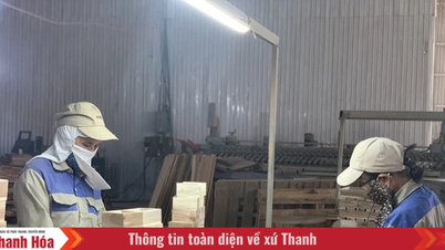 Ha Trung creates momentum for the private economy.