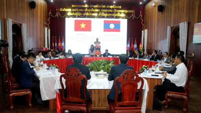 Quang Ninh wzmacnia międzynarodową współpracę w dziedzinie edukacji i szkoleń.