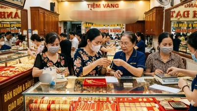 Da Nang átfogó ellenőrzést végez a készpénzmentes fizetések terén, különös tekintettel az arany-, ezüst- és drágakő-üzleti szektorra.