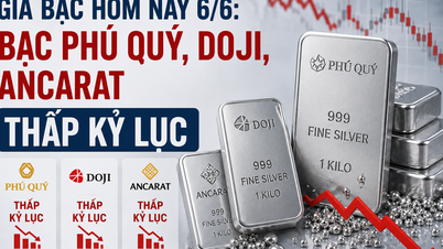 Harga perak hari ini, 6 Juni: Phu Quy Silver, Doji, Ancarat, dan Sacombank-SBJ mencapai titik terendah sepanjang masa.