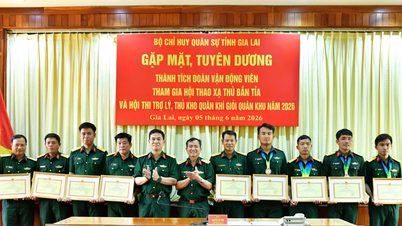 Bộ CHQS tỉnh Gia Lai tuyên dương quân nhân đạt thành tích cao tại các hội thi