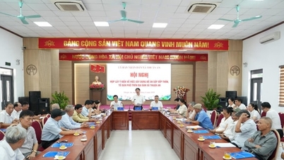 ถวนอัน: การปรับปรุงโครงสร้างหมู่บ้านและพื้นที่อยู่อาศัยเพื่อการบริหารจัดการที่มีประสิทธิภาพยิ่งขึ้น