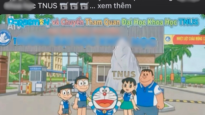 Tuduhan pelanggaran hak cipta muncul dari serangkaian video Doraemon yang mempromosikan sekolah-sekolah di Thai Nguyen.