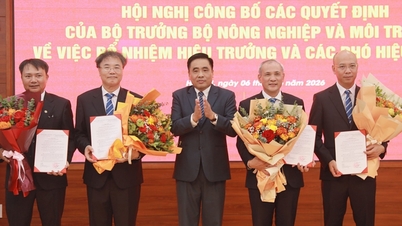 มหาวิทยาลัยทรัพยากรน้ำได้ปรับโครงสร้างคณะกรรมการบริหารใหม่สำหรับวาระใหม่แล้ว