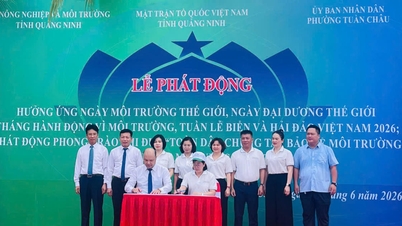 Környezetvédelmi tevékenységek egyidejű elindítása Quang Ninhben.