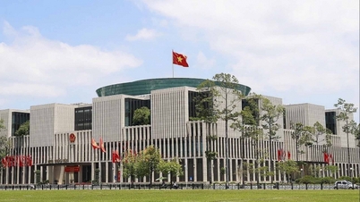 The National Assembly is consolidating the Steering Committee on Science, Technology Development, Innovation, and Digital Transformation.