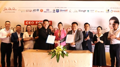 Raising the bar for leadership standards for entrepreneurs in Da Nang.