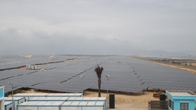 Commune and ward chairmen in Gia Lai will be held responsible if renewable energy projects are delayed.