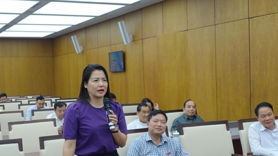 Hai Phong City میں 2026 میں ہر سطح پر عوامی کونسل کے نمائندوں کے لیے تربیت اور مہارت کی ترقی: AI - نگرانی کی صلاحیت اور پالیسی سازی کو بڑھانے کے لیے ایک مؤثر معاون۔