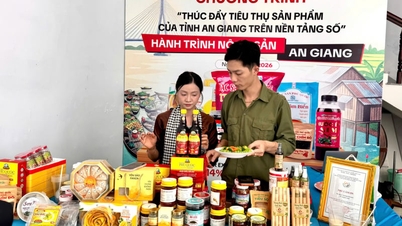ปัจจุบัน ผลิตภัณฑ์กว่า 300 รายการจากมณฑลอานเจียง มีวางจำหน่ายใน "ตลาดออนไลน์" และได้รับความนิยมจากผู้บริโภคทั่วประเทศ