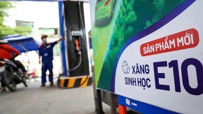Xăng E10 trải qua nhiều lớp kiểm soát trước khi ra thị trường