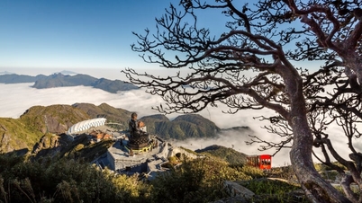 Hindari panasnya Sa Pa, kagumi lembah mawar, dan daki puncak Fansipan.