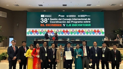 Phong Nha - Ke Bang menerima penghargaan internasional ketiganya.