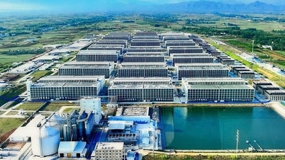 Tổ hợp chăn nuôi lợn nhà cao tầng công nghệ cao Hà Nội: Người dân kỳ vọng phát triển kinh tế nhưng trăn trở bài toán kiểm soát mùi