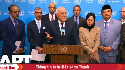 Arabijärjestö OIC vaatii YK:ta toimimaan Israelia vastaan.