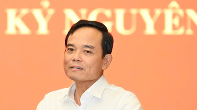 El secretario del partido, Tran Luu Quang, afirma que la ciudad de Ho Chi Minh recluta a estudiantes talentosos y prometedores para su sistema.