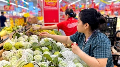 Indeks harga konsumen di Hai Phong meningkat sebesar 3,78%.