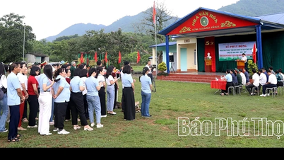 Meluncurkan kampanye untuk melindungi lingkungan di kelurahan Tan Hoa.