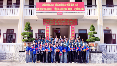 El Colegio Central de Formación Docente de Nha Trang organiza una excursión y un viaje de estudios a la 377.ª División.