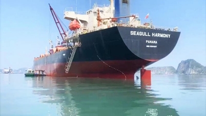 Membangun armada kapal yang kuat untuk menghubungkan barang-barang Vietnam dengan pasar internasional.