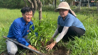 Landwirte in Tay Ninh: Die gesamten Ressourcen für die Umsetzung von Projekten und Aktivitäten als Reaktion auf den Weltumwelttag übersteigen 1,5 Milliarden VND.