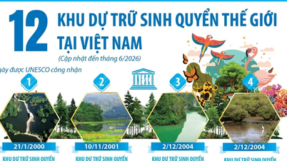 12 World Biosphere Reserves in Vietnam