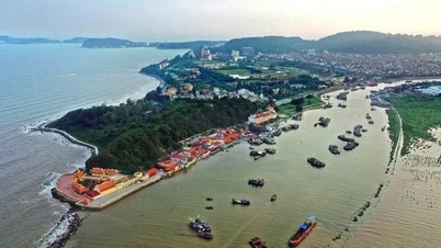 According to the latest village and neighborhood reorganization in Hai Phong, Do Son ward (formerly Do Son district) still has several planned neighborhoods remaining after the merger.