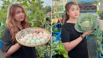 동나이에 사는 한 부부는 옥상에서 채소를 재배하고 닭을 키워 일 년 내내 깨끗한 음식을 얻고 있습니다.